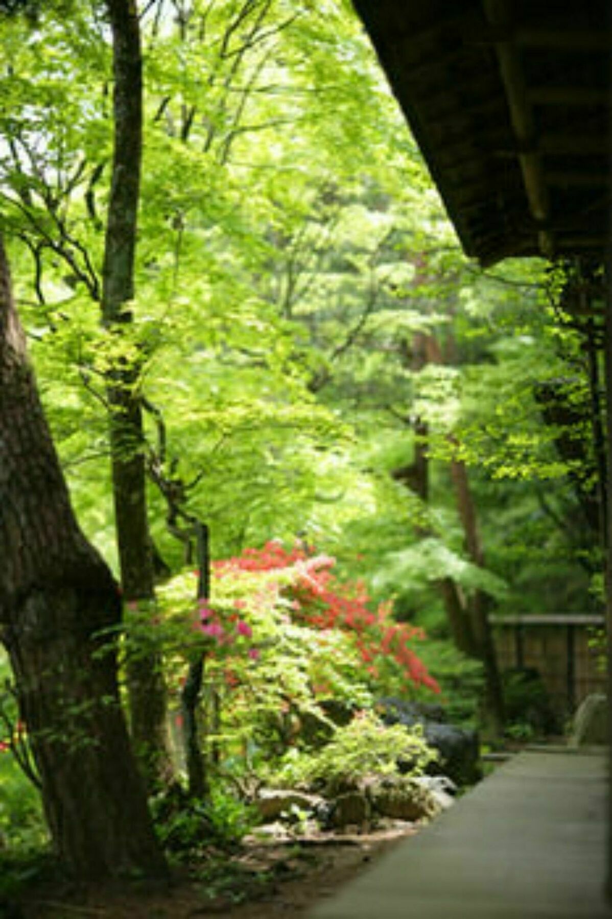 Sekizenkan Kashotei Sanso Nakanojo Exterior photo